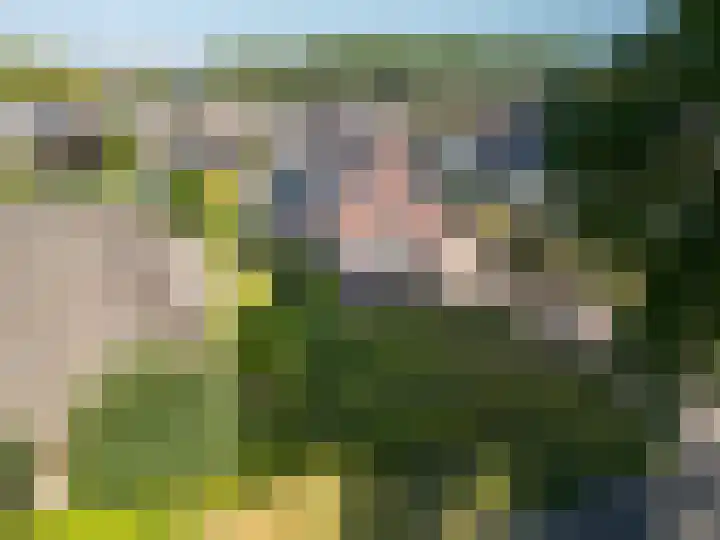 Naweg 15 Eext thumbnail 42