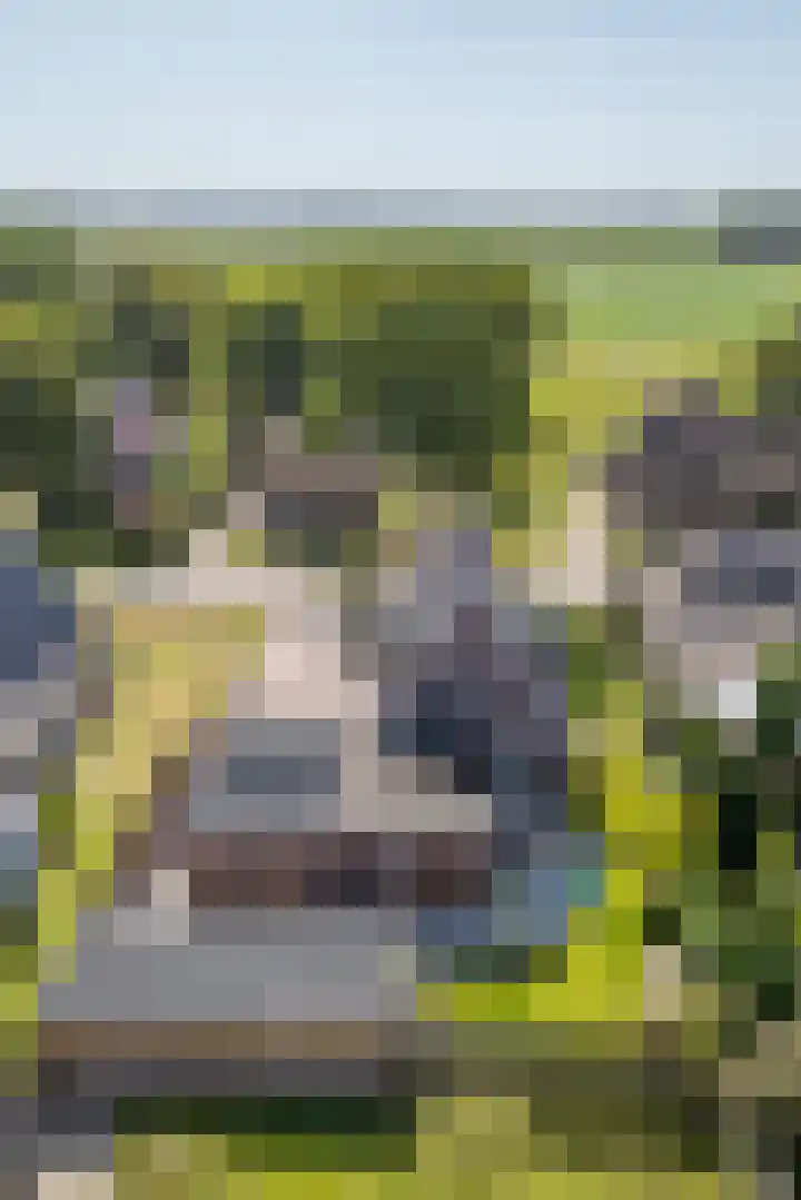 Naweg 15 Eext thumbnail 44