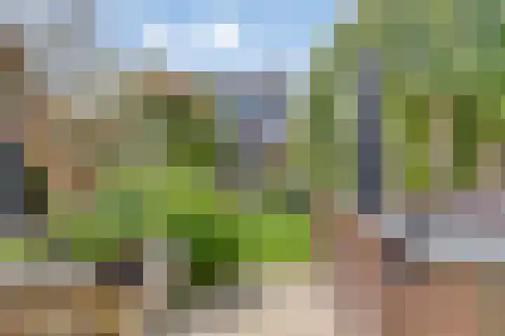 Nazareth 10 's-Gravenpolder thumbnail 4