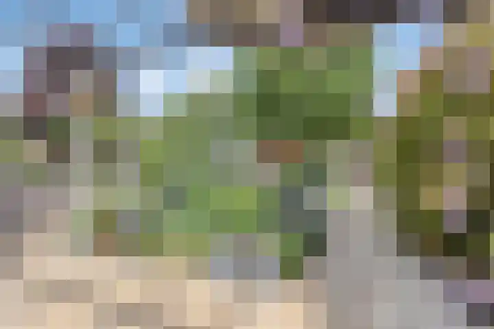 Nazareth 10 's-Gravenpolder thumbnail 65