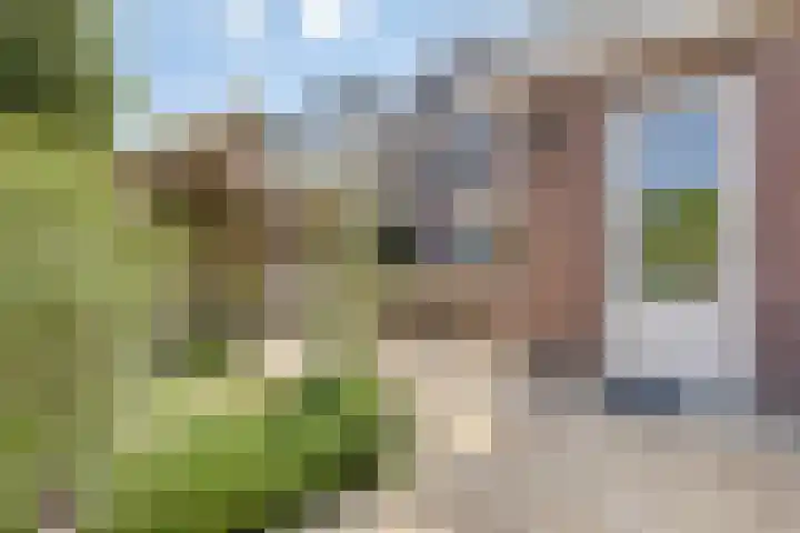 Nazareth 10 's-Gravenpolder thumbnail 71