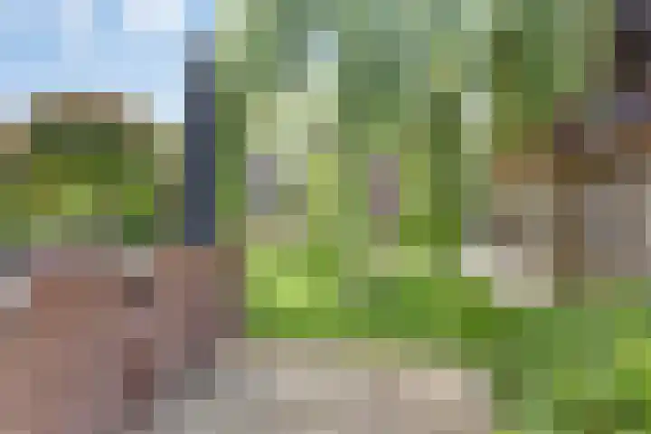 Nazareth 10 's-Gravenpolder thumbnail 79