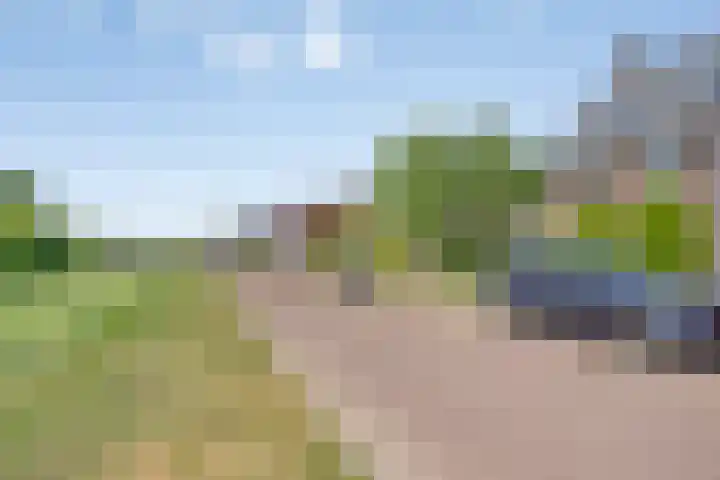Nazareth 10 's-Gravenpolder thumbnail 8