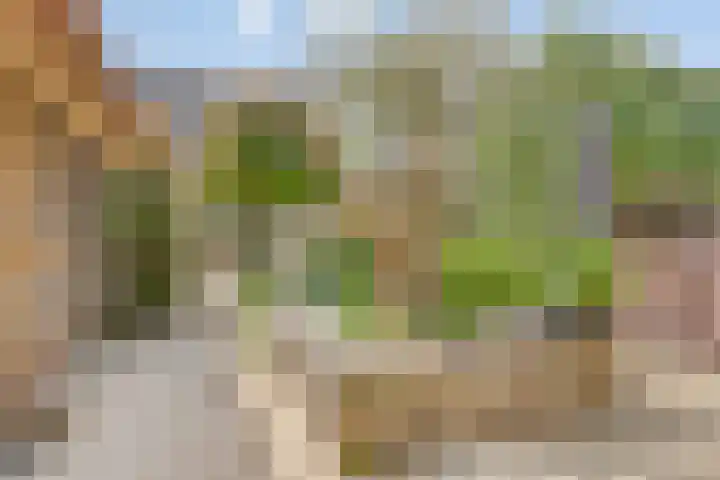 Nazareth 10 's-Gravenpolder thumbnail 81