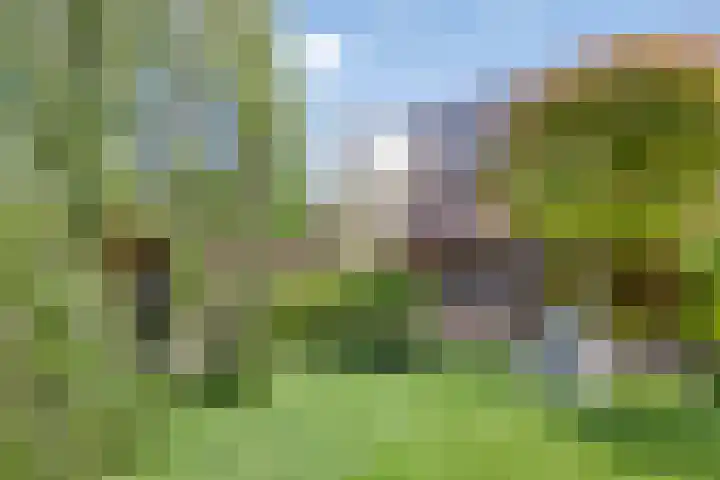 Nazareth 10 's-Gravenpolder thumbnail 83