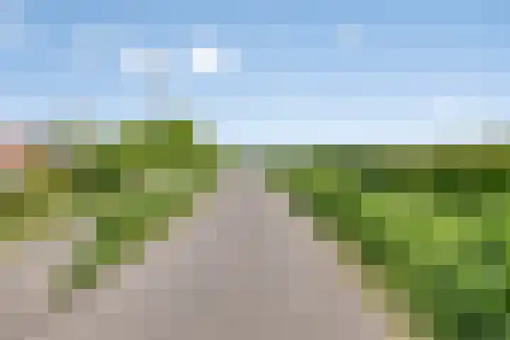 Nazareth 10 's-Gravenpolder thumbnail 88