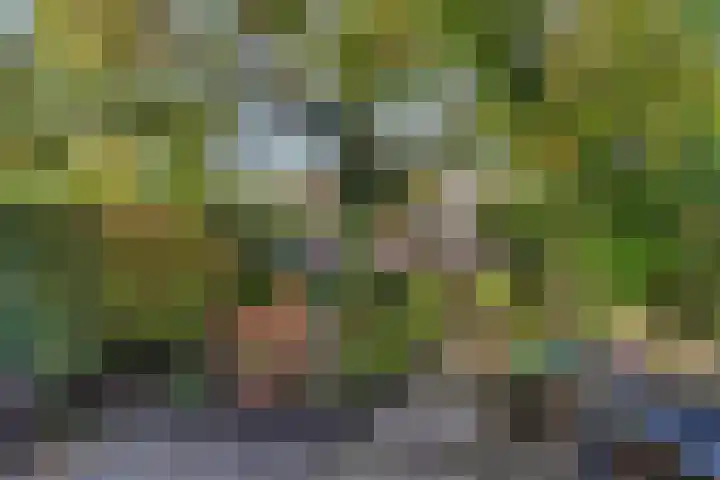 Nazareth 19 's-Gravenpolder thumbnail 28