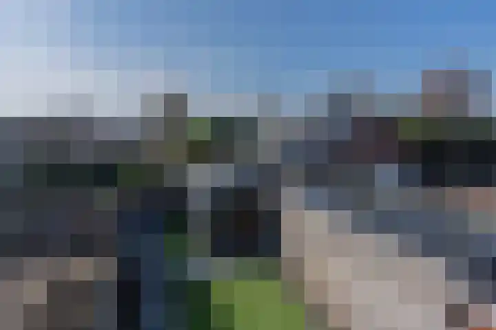 Nazareth 4 's-Gravenpolder thumbnail 36