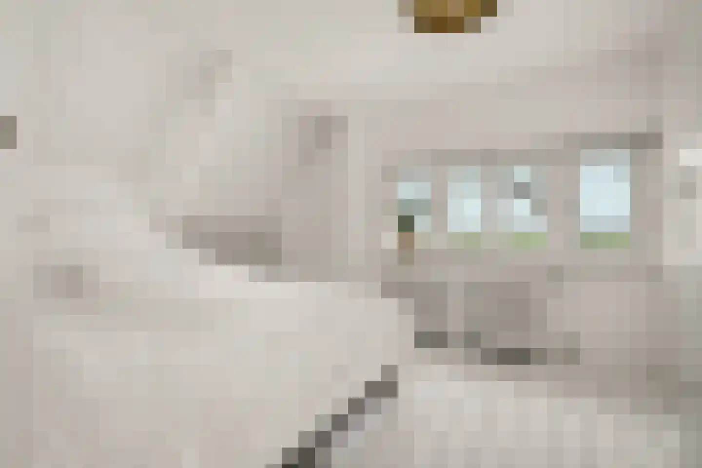 Neck 12 Wijdewormer thumbnail 19