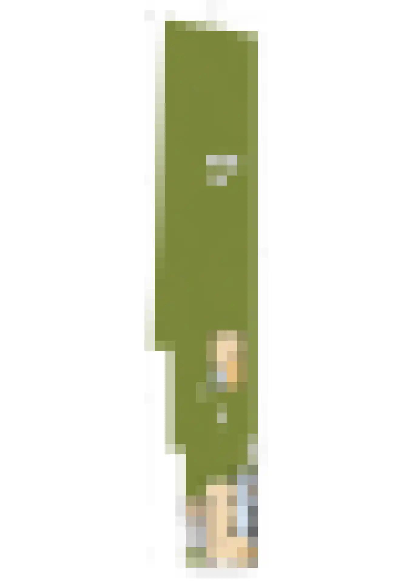 Neck 12 Wijdewormer thumbnail 25