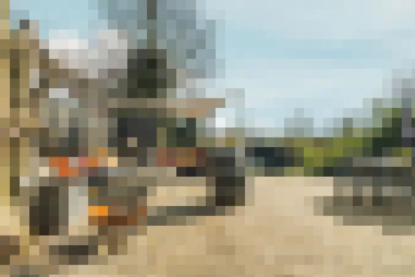 Neck 12 Wijdewormer thumbnail 26