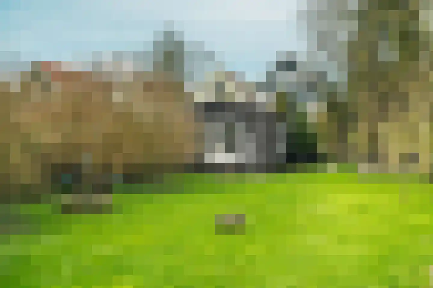 Neck 12 Wijdewormer thumbnail 29
