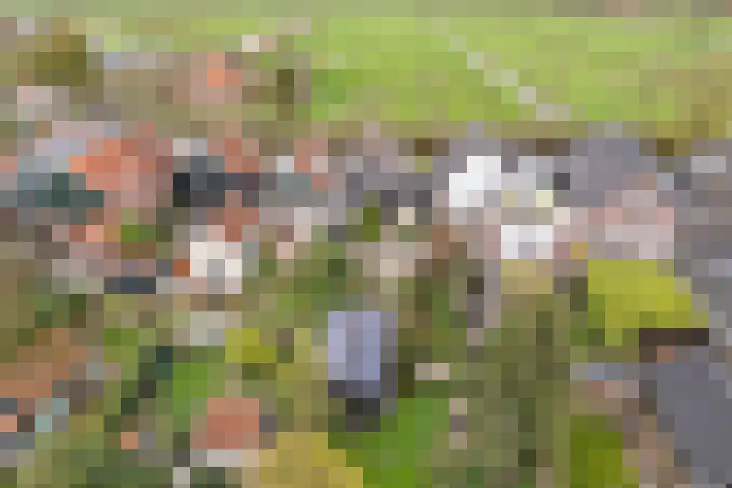 Neck 12 Wijdewormer thumbnail 33