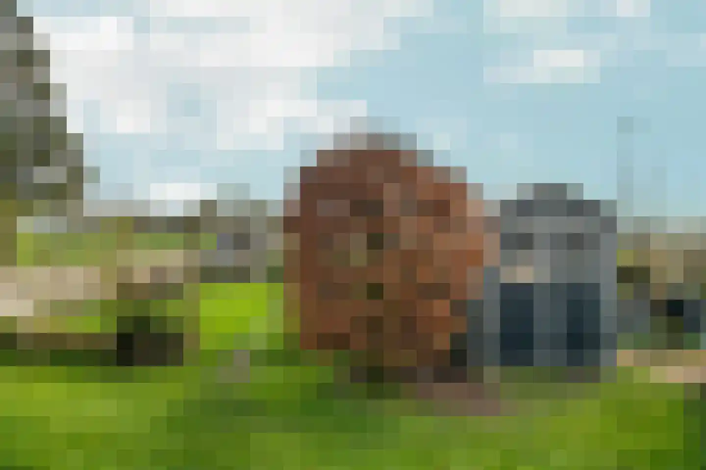 Neck 12 Wijdewormer thumbnail 34