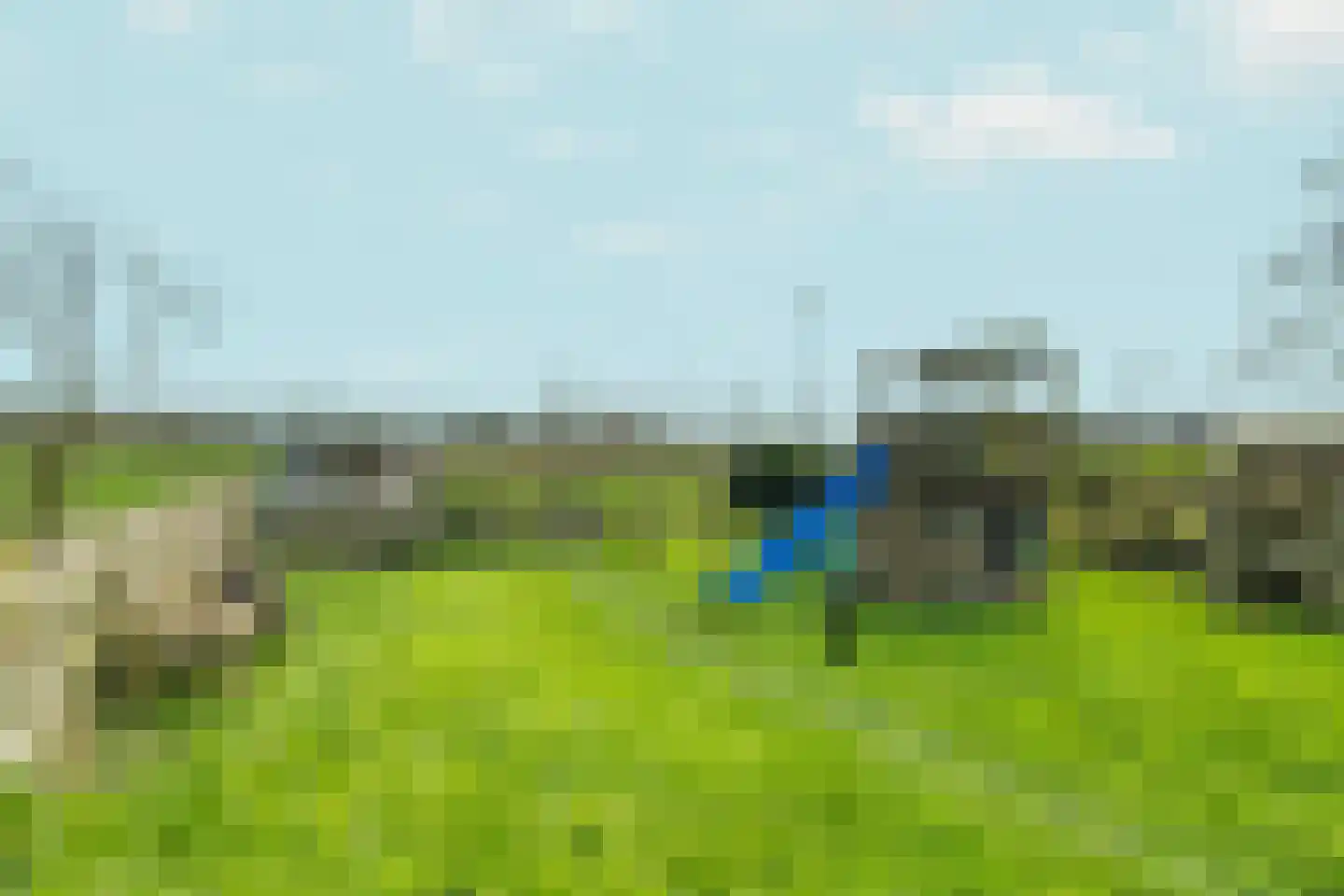 Neck 12 Wijdewormer thumbnail 35