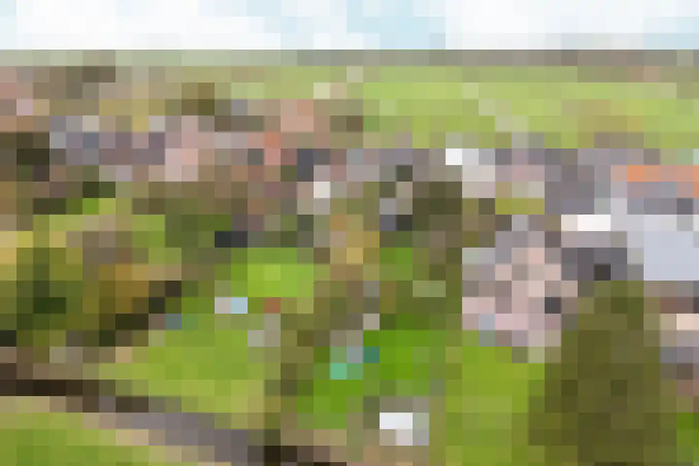 Neck 12 Wijdewormer thumbnail 37