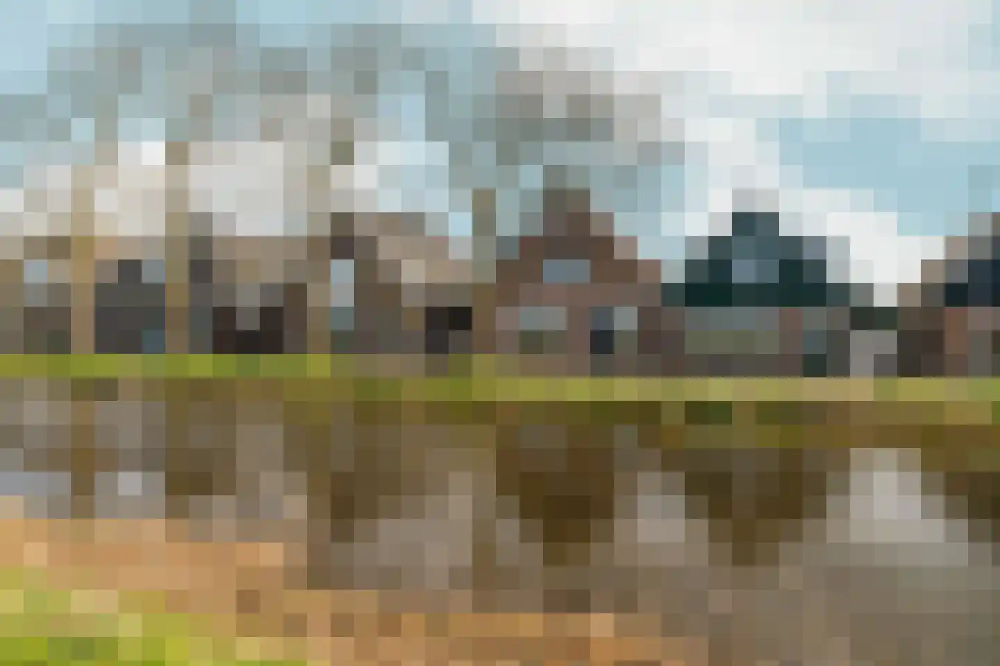 Neck 12 Wijdewormer thumbnail 38