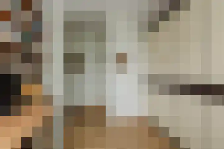 Nederhof 9 Zundert thumbnail 18