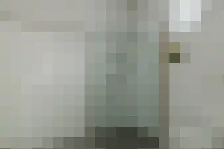 Nederhof 9 Zundert thumbnail 24