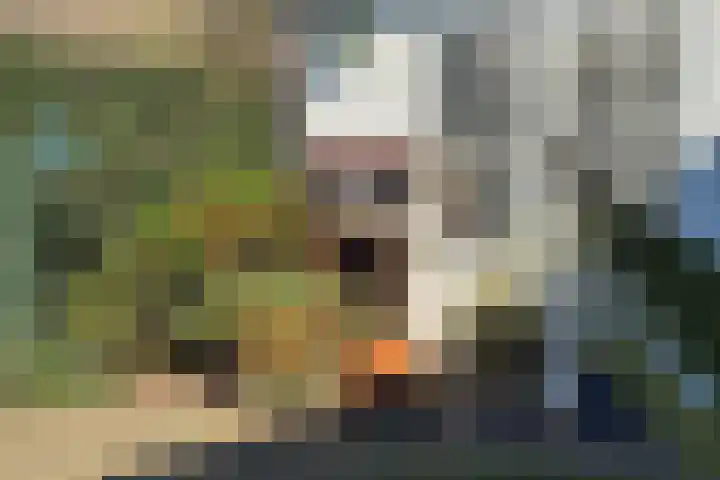 Nederhof 9 Zundert thumbnail 27