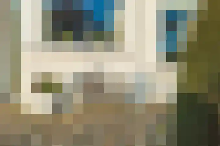 Nederhof 9 Zundert thumbnail 6