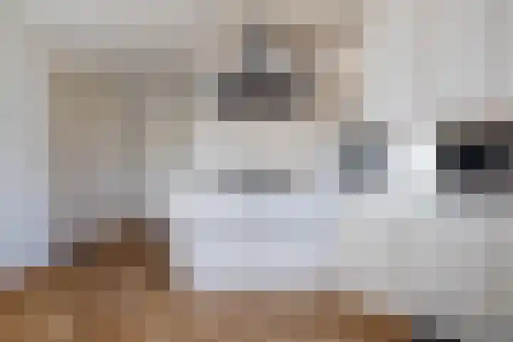 Nederhuizinge 24 Mierlo thumbnail 11