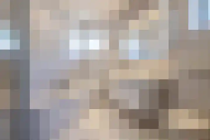 Nederhuizinge 24 Mierlo thumbnail 15