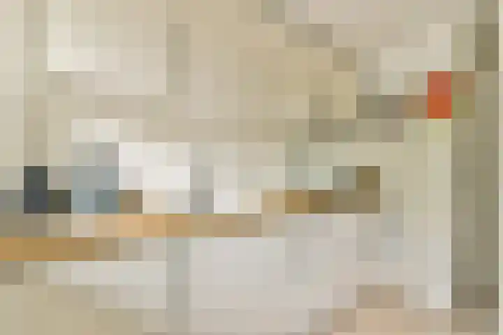 Nedersticht 252 Amsterdam thumbnail 12