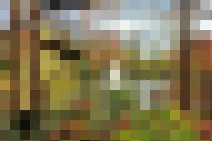 Nedersticht 252 Amsterdam thumbnail 17
