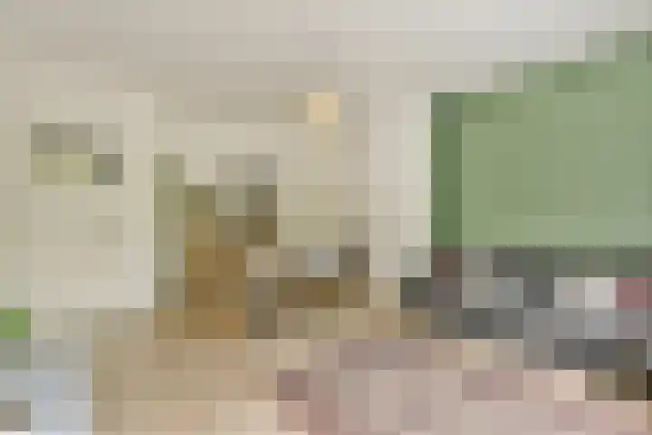 Nedersticht 252 Amsterdam thumbnail 4