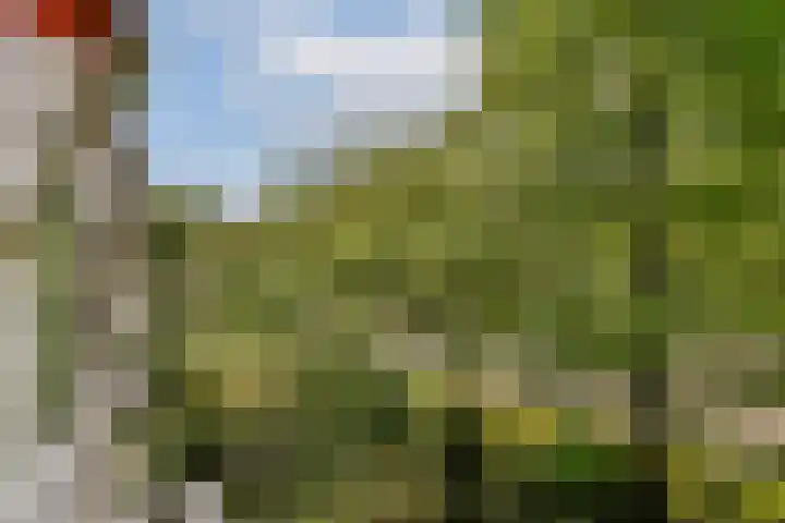 Nedersticht 252 Amsterdam thumbnail 6