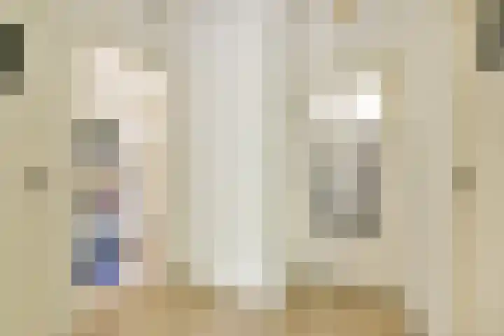 Nedersticht 252 Amsterdam thumbnail 7