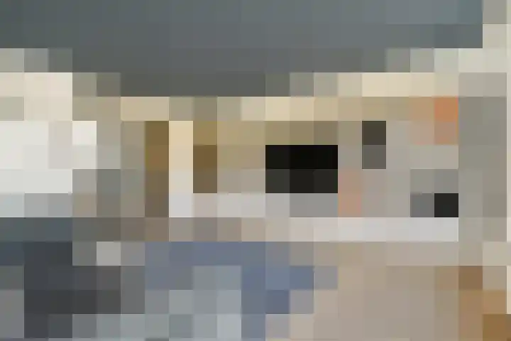 Nedersticht 310 Amsterdam thumbnail 6