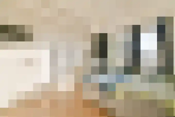 Nedersticht 310 Amsterdam thumbnail 8