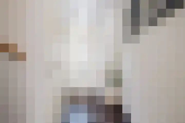 Needestraat 18 Eindhoven thumbnail 20