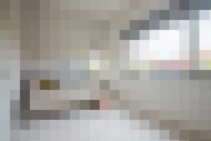 Needestraat 18 Eindhoven thumbnail 36