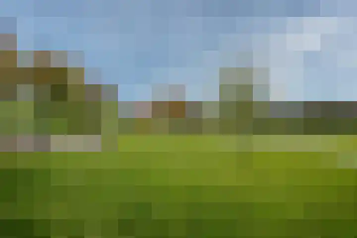 Needestraat 18 Eindhoven thumbnail 47