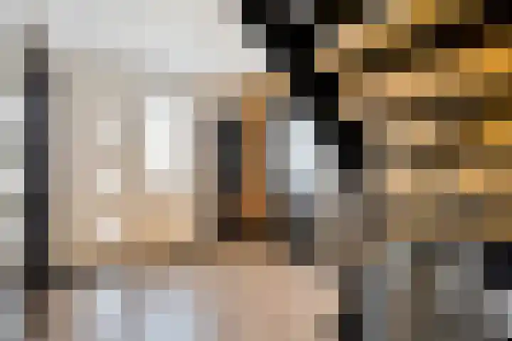 Neerakker 60 Mierlo thumbnail 11