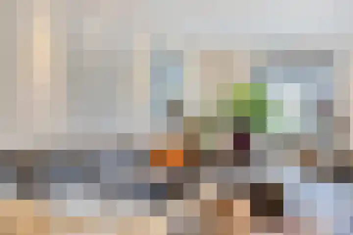 Neerakker 60 Mierlo thumbnail 18