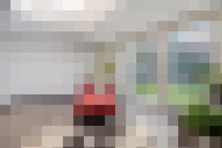 Neerakker 60 Mierlo thumbnail 22