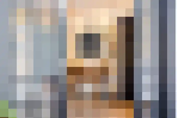 Neerakker 60 Mierlo thumbnail 23