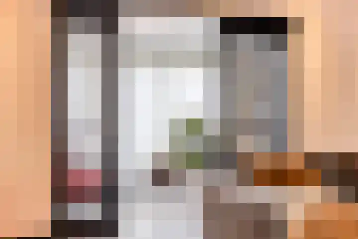 Neerakker 60 Mierlo thumbnail 25