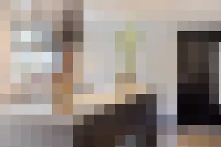 Neerakker 60 Mierlo thumbnail 29