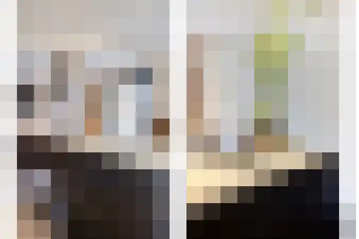 Neerakker 60 Mierlo thumbnail 32