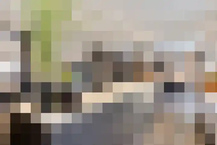 Neerakker 60 Mierlo thumbnail 34