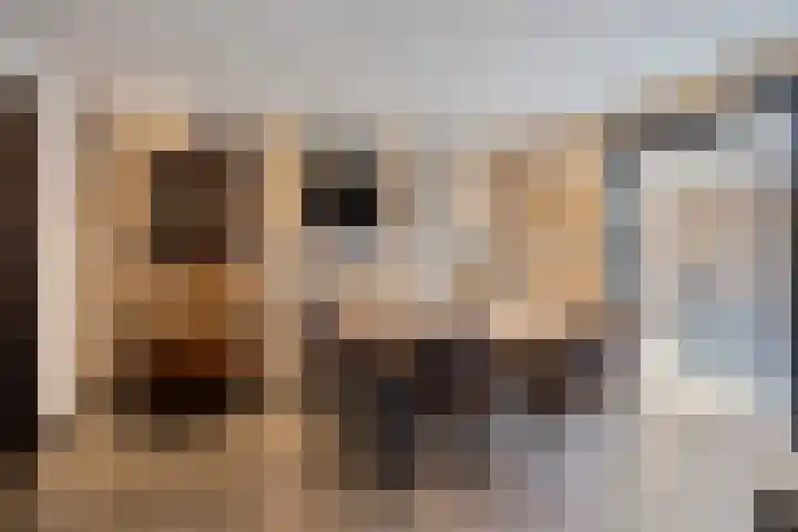 Neerakker 60 Mierlo thumbnail 38