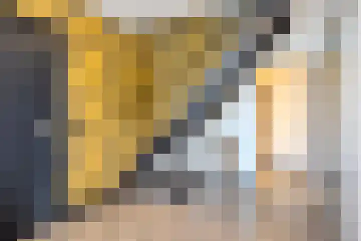 Neerakker 60 Mierlo thumbnail 49