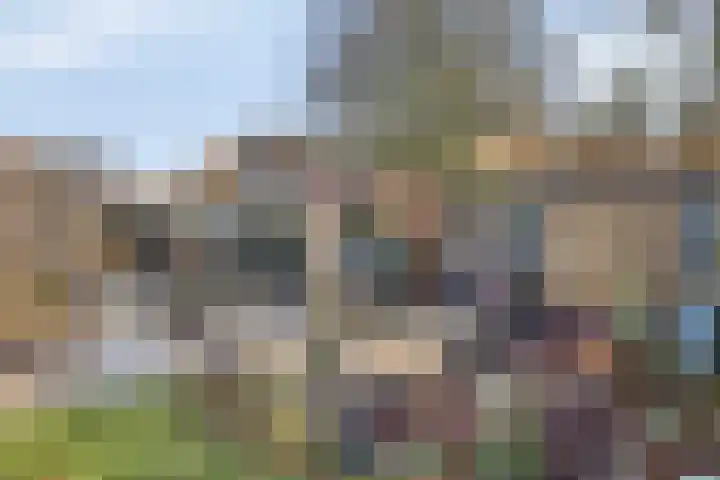 Neerakker 60 Mierlo thumbnail 64