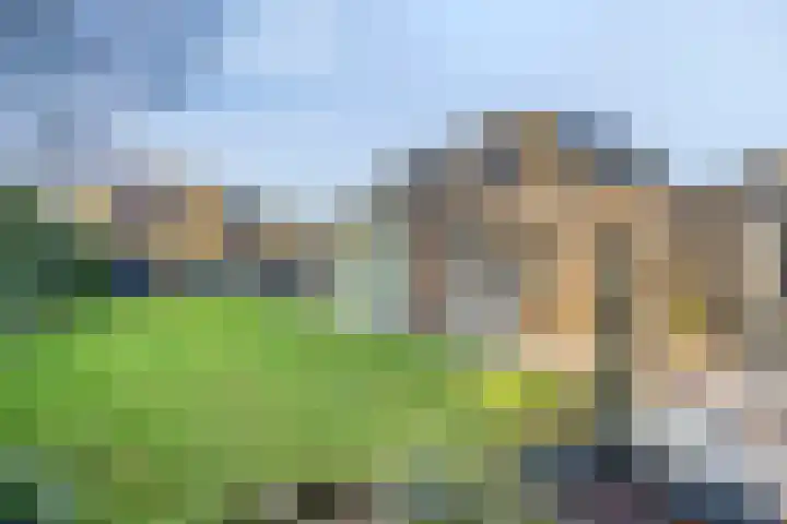 Neerakker 60 Mierlo thumbnail 65