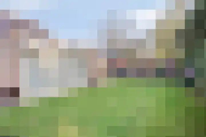 Neerakker 60 Mierlo thumbnail 66